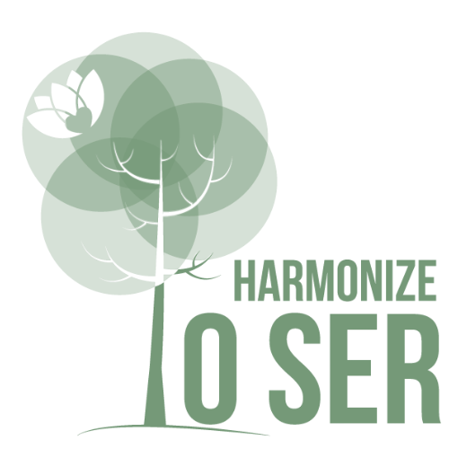 Logo Parceiro de Infraestrutura 1